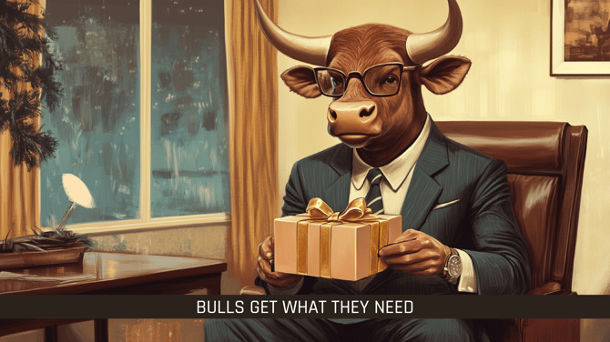 Bulls-Get-What-They-Need_Email-Cover