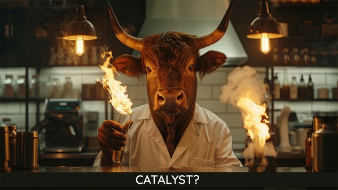Catalyst Cover